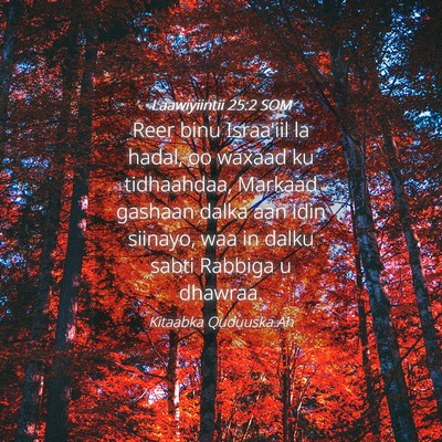 Picture 04 - Laawiyiintii 25:2 SOM - Reer binu Israa'iil la hadal, oo waxaad ku - Bible Verse Picture