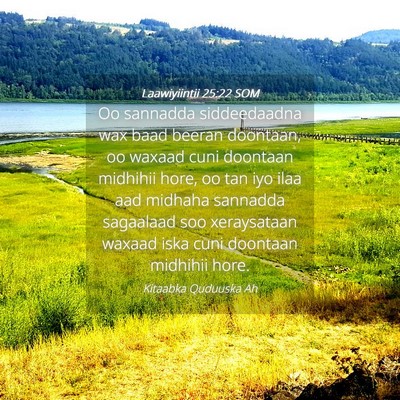 Picture 04 - Laawiyiintii 25:22 SOM - Oo sannadda siddeedaadna wax baad beeran - Bible Verse Picture