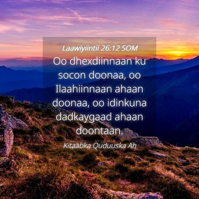 Picture 04 - Laawiyiintii 26:12 SOM - Oo dhexdiinnaan ku socon doonaa, oo Ilaahiinnaan - Bible Verse Picture