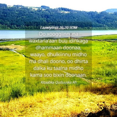 Picture 04 - Laawiyiintii 26:20 SOM - Oo xooggiinnuna waxtarla'aan buu idinkaga - Bible Verse Picture