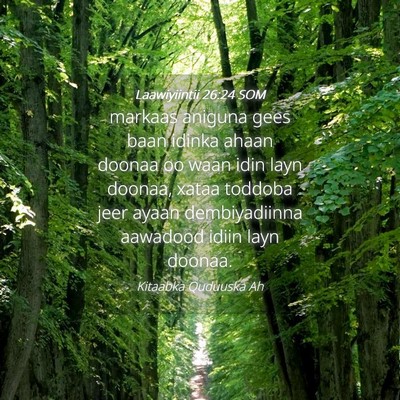 Picture 04 - Laawiyiintii 26:24 SOM - markaas aniguna gees baan idinka ahaan doonaa oo - Bible Verse Picture