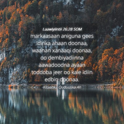 Picture 04 - Laawiyiintii 26:28 SOM - markaasaan aniguna gees idinka ahaan doonaa, - Bible Verse Picture