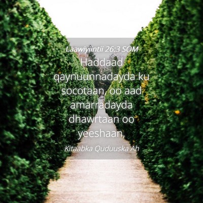 Picture 04 - Laawiyiintii 26:3 SOM - Haddaad qaynuunnadayda ku socotaan, oo aad - Bible Verse Picture