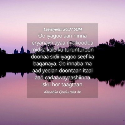 Picture 04 - Laawiyiintii 26:37 SOM - Oo iyagoo aan ninna eryanayn ayaa midkoodba midka - Bible Verse Picture