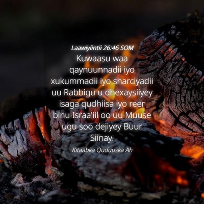 Picture 04 - Laawiyiintii 26:46 SOM - Kuwaasu waa qaynuunnadii iyo xukummadii iyo - Bible Verse Picture