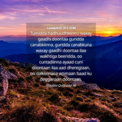 Picture 04 - Laawiyiintii 26:5 SOM - Tumidda hadhuudhkiinnu waxay gaadhi doontaa - Bible Verse Picture