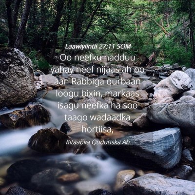 Picture 04 - Laawiyiintii 27:11 SOM - Oo neefku hadduu yahay neef nijaas ah oo aan - Bible Verse Picture