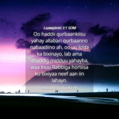 Picture 04 - Laawiyiintii 3:1 SOM - Oo haddii qurbaankiisu yahay allabari qurbaanno - Bible Verse Picture
