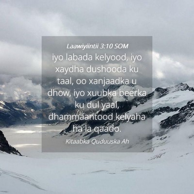 Picture 04 - Laawiyiintii 3:10 SOM - iyo labada kelyood, iyo xaydha dushooda ku taal, - Bible Verse Picture