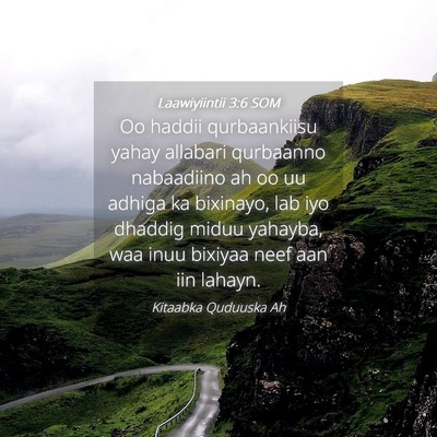 Picture 04 - Laawiyiintii 3:6 SOM - Oo haddii qurbaankiisu yahay allabari qurbaanno - Bible Verse Picture