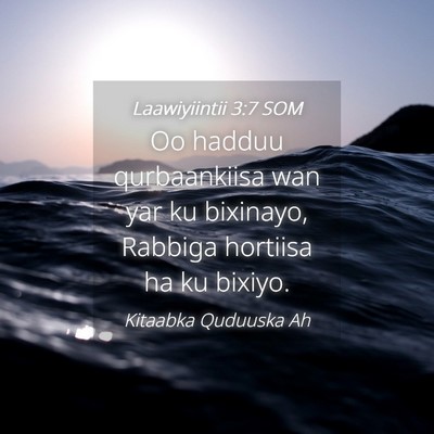 Picture 04 - Laawiyiintii 3:7 SOM - Oo hadduu qurbaankiisa wan yar ku bixinayo, - Bible Verse Picture