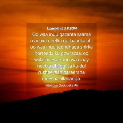 Picture 04 - Laawiyiintii 3:8 SOM - Oo waa inuu gacanta saaraa madaxa neefka - Bible Verse Picture