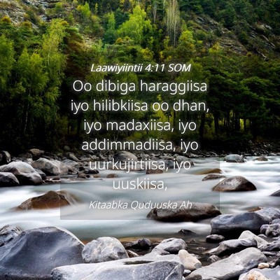 Picture 04 - Laawiyiintii 4:11 SOM - Oo dibiga haraggiisa iyo hilibkiisa oo dhan, iyo - Bible Verse Picture