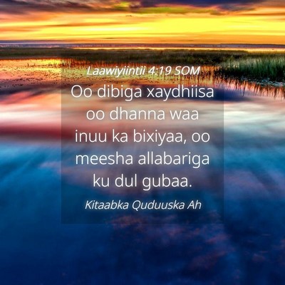 Picture 04 - Laawiyiintii 4:19 SOM - Oo dibiga xaydhiisa oo dhanna waa inuu ka - Bible Verse Picture