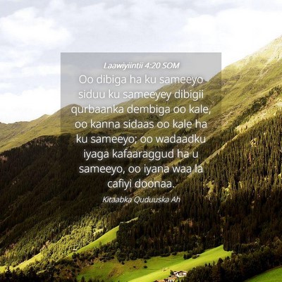 Picture 04 - Laawiyiintii 4:20 SOM - Oo dibiga ha ku sameeyo siduu ku sameeyey dibigii - Bible Verse Picture