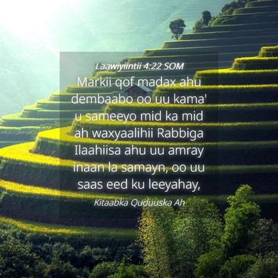 Picture 04 - Laawiyiintii 4:22 SOM - Markii qof madax ahu dembaabo oo uu kama' u - Bible Verse Picture