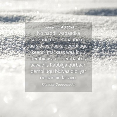 Picture 04 - Laawiyiintii 4:3 SOM - iyo haddii wadaadka subkanu uu dembaabo oo uu - Bible Verse Picture