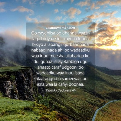 Picture 04 - Laawiyiintii 4:31 SOM - Oo xaydhiisa oo dhanna waa in laga bixiyaa sidii - Bible Verse Picture