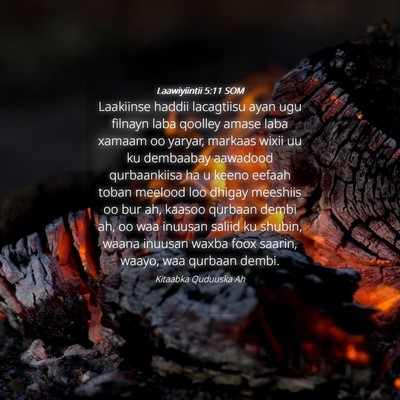 Picture 04 - Laawiyiintii 5:11 SOM - Laakiinse haddii lacagtiisu ayan ugu filnayn laba - Bible Verse Picture