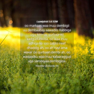 Picture 04 - Laawiyiintii 5:6 SOM - oo markaas waa inuu dembigii uu dembaabay - Bible Verse Picture