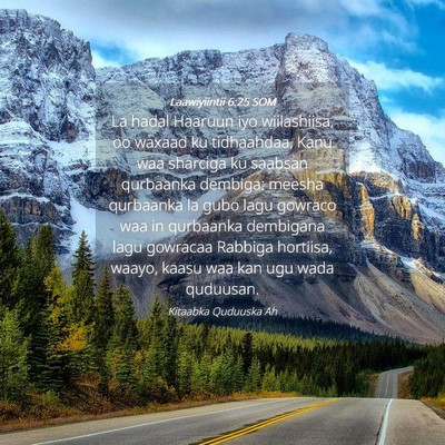 Picture 04 - Laawiyiintii 6:25 SOM - La hadal Haaruun iyo wiilashiisa, oo waxaad ku - Bible Verse Picture