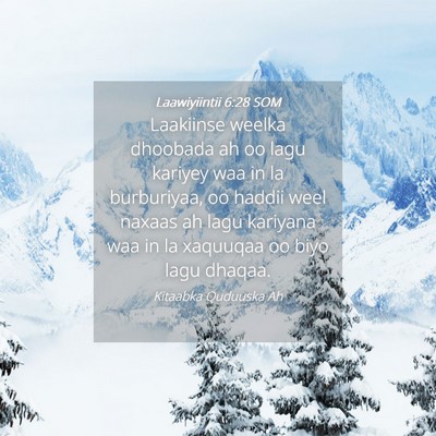 Picture 04 - Laawiyiintii 6:28 SOM - Laakiinse weelka dhoobada ah oo lagu kariyey waa - Bible Verse Picture