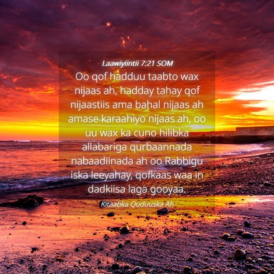 Picture 04 - Laawiyiintii 7:21 SOM - Oo qof hadduu taabto wax nijaas ah, hadday tahay - Bible Verse Picture