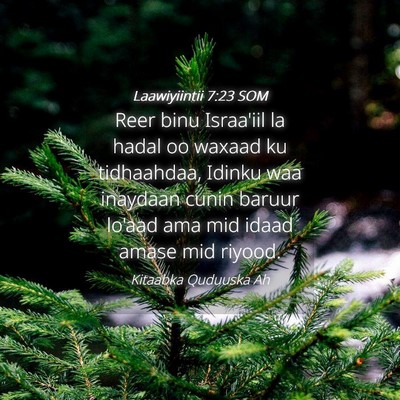 Picture 04 - Laawiyiintii 7:23 SOM - Reer binu Israa'iil la hadal oo waxaad ku - Bible Verse Picture