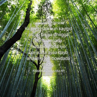 Picture 04 - Laawiyiintii 7:33 SOM - Kii reer Haaruun ka mid ah oo bixiya dhiigga - Bible Verse Picture