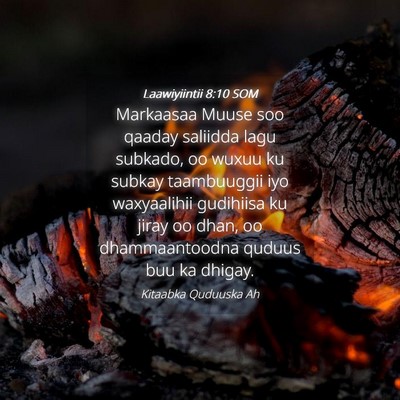 Picture 04 - Laawiyiintii 8:10 SOM - Markaasaa Muuse soo qaaday saliidda lagu subkado, - Bible Verse Picture