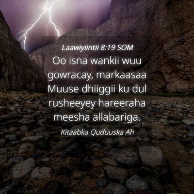 Picture 04 - Laawiyiintii 8:19 SOM - Oo isna wankii wuu gowracay, markaasaa Muuse - Bible Verse Picture