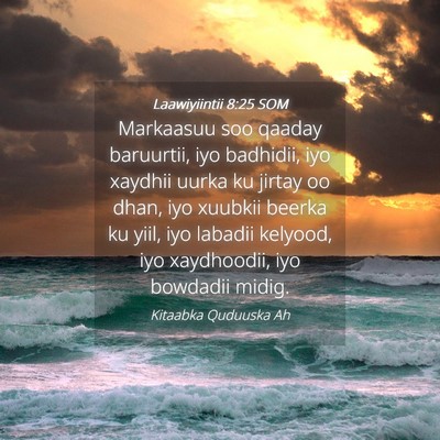 Picture 04 - Laawiyiintii 8:25 SOM - Markaasuu soo qaaday baruurtii, iyo badhidii, iyo - Bible Verse Picture