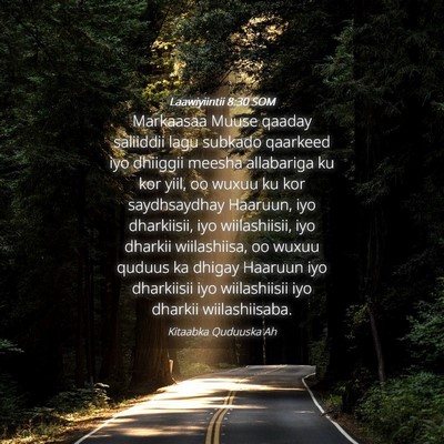 Picture 04 - Laawiyiintii 8:30 SOM - Markaasaa Muuse qaaday saliiddii lagu subkado - Bible Verse Picture