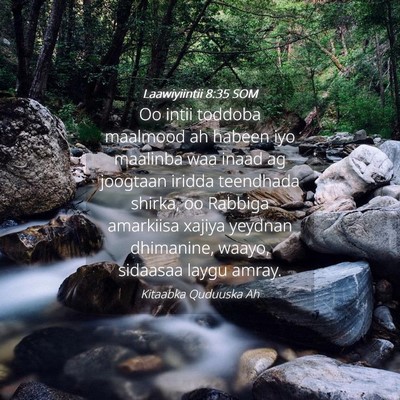 Picture 04 - Laawiyiintii 8:35 SOM - Oo intii toddoba maalmood ah habeen iyo maalinba - Bible Verse Picture