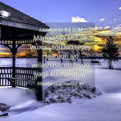 Picture 04 - Laawiyiintii 8:6 SOM - Markaasaa Muuse wuxuu soo kexeeyey Haaruun iyo - Bible Verse Picture