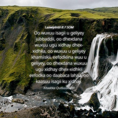 Picture 04 - Laawiyiintii 8:7 SOM - Oo wuxuu isagii u geliyey jubbaddii, oo dhexdana - Bible Verse Picture