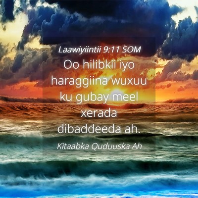 Picture 04 - Laawiyiintii 9:11 SOM - Oo hilibkii iyo haraggiina wuxuu ku gubay meel - Bible Verse Picture
