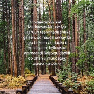Picture 04 - Laawiyiintii 9:23 SOM - Markaasay Muuse iyo Haaruun teendhadii shirka - Bible Verse Picture