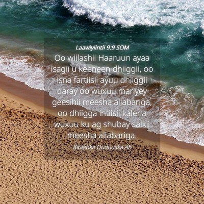 Picture 04 - Laawiyiintii 9:9 SOM - Oo wiilashii Haaruun ayaa isagii u keeneen - Bible Verse Picture