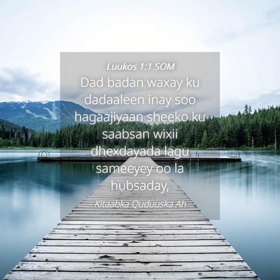 Picture 04 - Luukos 1:1 SOM - Dad badan waxay ku dadaaleen inay soo hagaajiyaan - Bible Verse Picture