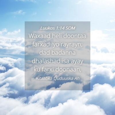 Picture 04 - Luukos 1:14 SOM - Waxaad heli doontaa farxad iyo rayrayn; dad - Bible Verse Picture
