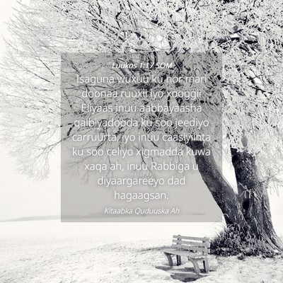 Picture 04 - Luukos 1:17 SOM - Isaguna wuxuu ku hor mari doonaa ruuxii iyo - Bible Verse Picture