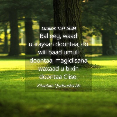 Picture 04 - Luukos 1:31 SOM - Bal eeg, waad uuraysan doontaa, oo wiil baad - Bible Verse Picture