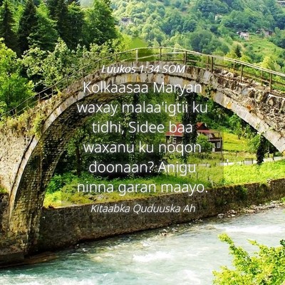Picture 04 - Luukos 1:34 SOM - Kolkaasaa Maryan waxay malaa'igtii ku tidhi, - Bible Verse Picture