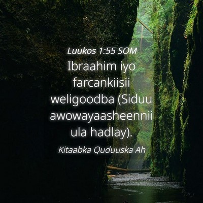 Picture 04 - Luukos 1:55 SOM - Ibraahim iyo farcankiisii weligoodba (Siduu - Bible Verse Picture