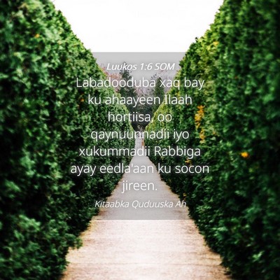 Picture 04 - Luukos 1:6 SOM - Labadooduba xaq bay ku ahaayeen Ilaah hortiisa, - Bible Verse Picture