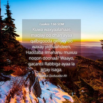 Picture 04 - Luukos 1:66 SOM - Kuwa waxyaalahaas maqlay oo dhan ayaa qalbigooda - Bible Verse Picture