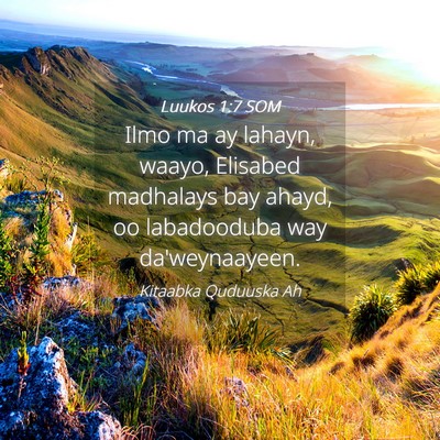 Picture 04 - Luukos 1:7 SOM - Ilmo ma ay lahayn, waayo, Elisabed madhalays bay - Bible Verse Picture