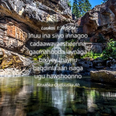 Picture 04 - Luukos 1:74 SOM - Inuu ina siiyo innagoo cadaawayaasheenna - Bible Verse Picture