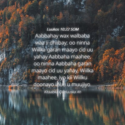 Picture 04 - Luukos 10:22 SOM - Aabbahay wax walbaba waa ii dhiibay; oo ninna - Bible Verse Picture